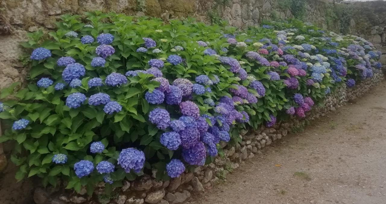 Quinta da Tapada Avô Exterior foto
